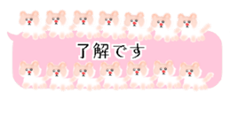 429749999