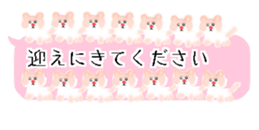 429750004