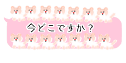 429750007