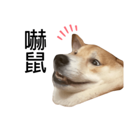429756050