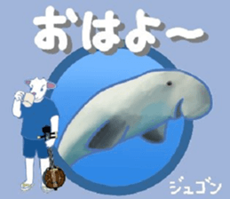 429770502