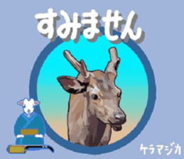 429770516
