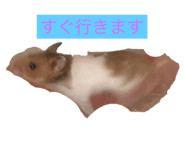 429777430
