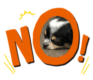 429777444