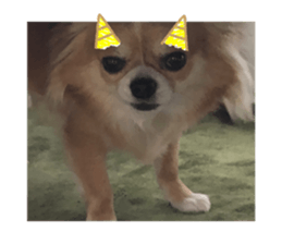 429781105