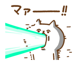 429781612