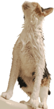 429813898