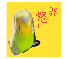 429814368