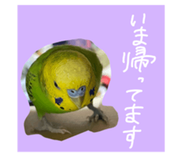 429814373