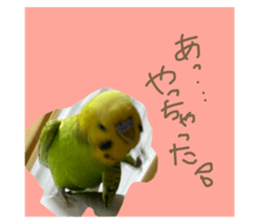 429814375