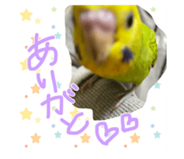 429814378