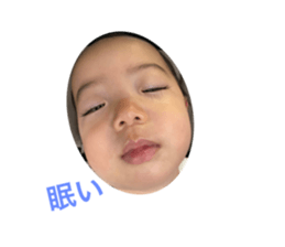 429817503