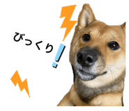 429902301