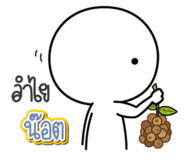 42992677