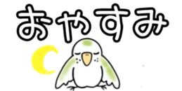 429973045