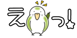 429973053