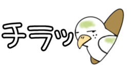 429973067