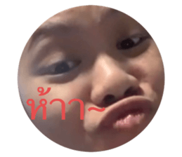 429976031