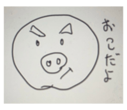 429976052