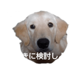 429979415