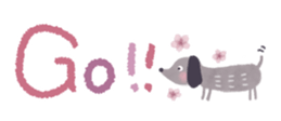 430006272