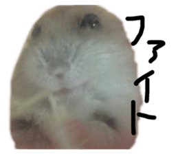 430180940