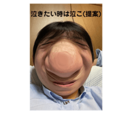 430217732