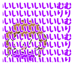 430217931