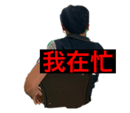 430233155
