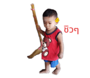 430293894