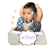 430315626