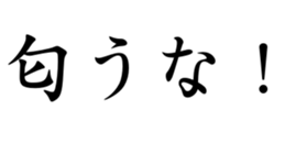430360667