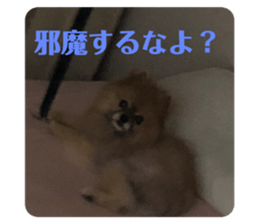 430402503