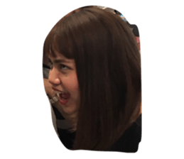 43040909