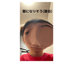 430441153