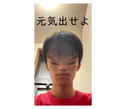 430441154