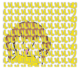 430499931