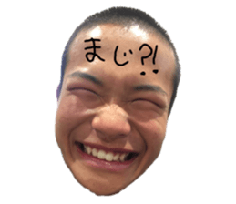 430517856