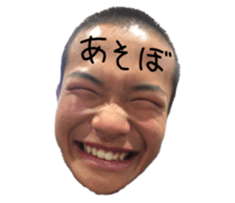 430517858