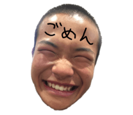 430517859