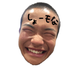 430517868