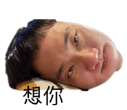 430518619