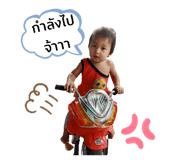 430523653
