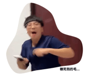 430545954