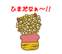 4305529
