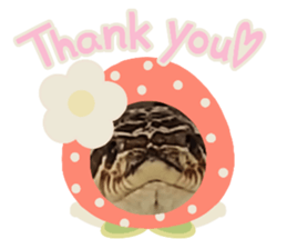 430579163