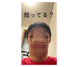 430581068