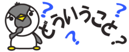 430644099