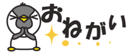 430644114