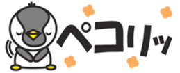 430644117